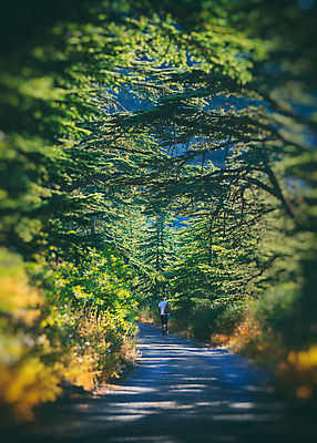 포토 JPG 해외이미지 나무 식물 남자 도로 여행 중동 배낭 자연 휴가 산 국립공원 한명 사람 성인 여행객 걷기 산책 트래킹 하이킹 신혼여행 숲 탈출 랜드마크 하이커 해외포토 1 공원 나라 길 결혼 컨셉 가방 교통시설 모션 레저 휴식 생태계 파일형식 이미지허브