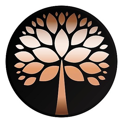 EPS 해외이미지 나무 디자인 계절 실루엣 백그라운드 잎 크리스마스 일러스트 자연 추상 목재 초록색 세트 환경 정원 검은색 웹 봄 성장 흰색 소나무 수집 심볼 사인 고립 해외일러스트 식물 기념일 컬러 무늬 인터넷 재료 촬영기법 생태계 파일형식 벡터 이미지허브