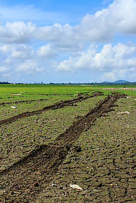 포토 JPG 해외이미지 도로 길 물결 선 모래 백그라운드 패턴 자국 자동차 자연 하늘 건조 사람없음 야외 모래사장 태양 갈색 껍질 바퀴 황금 땅 모래언덕 방향 흔적 질감 타이어 먼지 지역 트랙터 짐차 그만 땅바닥 사방 선로 자취 각인 해외포토 자연요소 육상교통 바다 컬러 무늬 교통시설 바닥 농기계 언덕 생태계 특수차량 파일형식 이미지허브