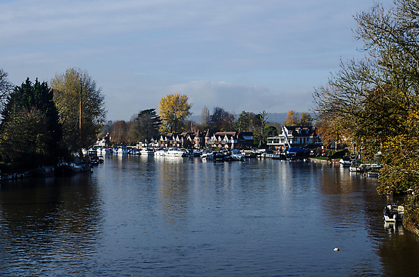 포토 JPG 해외이미지 나무 외관 계절 주택 풍경 사람없음 야외 물 강 맑음 가을 보트 고급 강가 정박 닻 뱃놀이 템스강 해외포토 자연요소 식물 컨셉 배_교통 날씨 잉글랜드 건물 전통놀이 파일형식 이미지허브