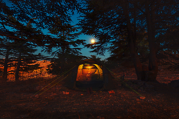 포토 JPG 해외이미지 나무 공원 실루엣 텐트 사람없음 야외 어둠 캠핑 달 야간 숲 캠핑장 해외포토 자연요소 식물 공공시설 레저 촬영기법 캠핑도구 파일형식 이미지허브 이미지허브