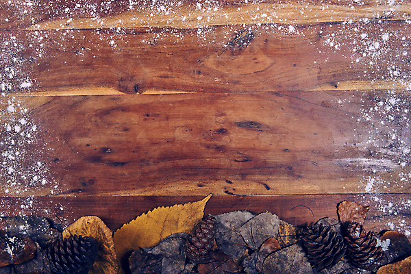 포토 JPG 해외이미지 식물 디자인 벽 백그라운드 컨셉 꽃무늬 패턴 자연 탁자 표면 추상 사람없음 목재 초록색 갈색 노란색 우주 어둠 수확 가을 시골 판넬 부식 질감 복고 모음 내추럴 그런지 수목 옛날 해외포토 나무 계절 꽃 컬러 가구 무늬 농업 재료 생태계 파일형식 이미지허브