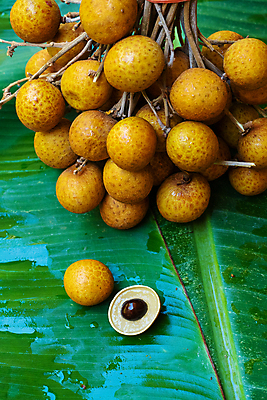포토 JPG 해외이미지 나무 식물 손 계절 아시아 음식 백그라운드 잎 농업 과일 태국 자연 바나나 건강 씨앗 동양인 사람없음 야외 초록색 농장 갈색 수확 나뭇가지 신선 원형 그룹 시장 달콤 맛 자르기 다발 오브젝트 유기농 날것 숙성 이국적 개조 해외포토 도형 웰빙 나라 산업 컬러 컨셉 모션 인종 신체부위 생태계 파일형식 이미지허브
