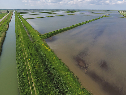 포토 JPG 해외이미지 식물 문화 길 호수 줄기 농업 밥 바닥 안테나 풍경 사람없음 초록색 물 농경지 새싹 정원 경작 수확 거친 정상 낟알 홍수 시리얼 운하 진흙 시스템 배수구 논밭 밭일 해외포토 자연요소 산업 음식 컬러 밭 통신 논 농장 농사 자연재해 파일형식 이미지허브