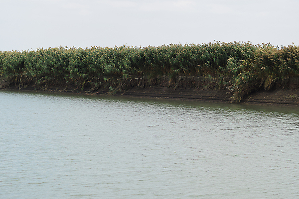 포토 JPG 해외이미지 아시아 문화 음식 백그라운드 잎 밭 농업 채소 자연 밥 아침 산 따뜻함 동양인 잔디 사람없음 초록색 물 농장 농경지 노란색 계곡 황혼 흐름 수확 성장 시골 개울 낟알 땅 인도인 수로 운하 장면 배수구 수도교 줄서기 채널 세련 해외포토 주간 자연요소 외국인 식물 나라 산업 컬러 컨셉 모션 인종 강 일몰 다리_건축물 생태계 파일형식 이미지허브