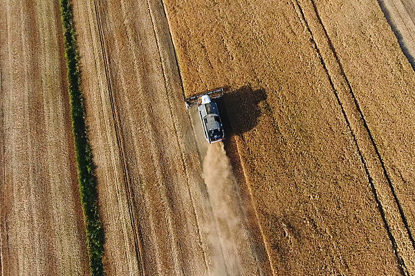 포토 JPG 해외이미지 산업 포즈 밭 농업 자연 옥수수 사람 풍경 사람없음 여름 농작물 태양 농장 농경지 노란색 기계 장비 수확 성장 가을 시골 업무 작업 쌍 황금 정상 결합 낟알 땅 자르기 밀 유기농 보리 먼지 밀짚 밭일 숙성 호밀 해외포토 자연요소 웰빙 계절 컬러 모션 곡류 짚 생태계 파일형식 이미지허브