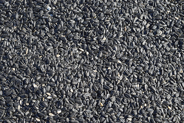 포토 JPG 해외이미지 모양 식물 계절 꽃 음식 백그라운드 패턴 농업 다이어트 채소 재료 포장 자연 해바라기 건조 건강 요리 씨앗 동양인 사람없음 농작물 검은색 줄무늬 지성 흰색 시장 작음 낟알 굽기 먹기 묘사 유기농 질감 날것 흙더미 짐싸기 고립 파종 많음 해외포토 웰빙 산업 컬러 컨셉 무늬 모션 인종 농사 흙 크기 구이 생태계 파일형식 더미 이미지허브