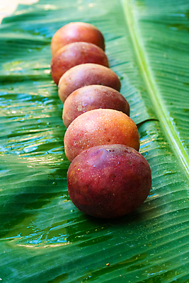 포토 JPG 해외이미지 열매 음식 조각 백그라운드 잎 다이어트 과일 부분 디저트 바나나 건강 씨앗 사람없음 빨간색 초록색 보라색 주스 흰색 신선 그룹 달콤 맛 자르기 오브젝트 유기농 날것 슬라이스 열정 내추럴 고립 숙성 이국적 해외포토 식물 웰빙 감정 음료 컬러 컨셉 모션 파일형식 이미지허브