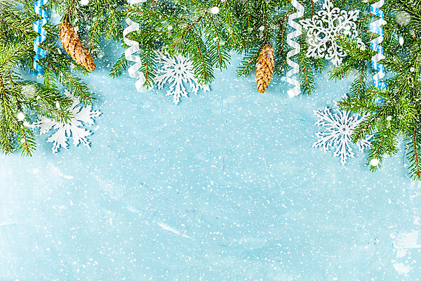 포토 JPG 해외이미지 나무 디자인 배너 계절 열매 행복 백그라운드 크리스마스 겨울 휴가 새해 프레임 선물 사람없음 목재 장식 빨간색 초록색 빛 수확 흰색 시골 축하 인사 소나무 신용카드 눈송이 화려 널 은색 상록수 침엽수 전나무 원뿔 구성 옛날 눈내림 해외포토 도형 식물 기념일 감정 컬러 컨셉 농업 재료 눈_날씨 금융 예절 파일형식 이미지허브