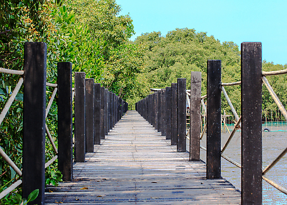 포토 JPG 해외이미지 나무 식물 공원 아시아 도로 길 호수 여행 자국 자연 사람없음 야외 목재 초록색 물 정원 침묵 산책 산책로 하이킹 탐험 터널 숲 오솔길 방향 장면 옛날 해외포토 자연요소 공공시설 나라 컬러 재료 교통시설 레저 휴식 소리 생태계 파일형식 이미지허브