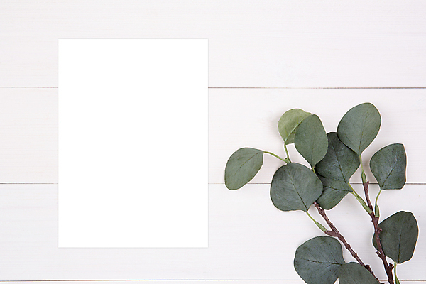 포토 JPG 해외이미지 종이 탁자 프레임 사람없음 책상 목업 해외포토 가구 파일형식 이미지허브