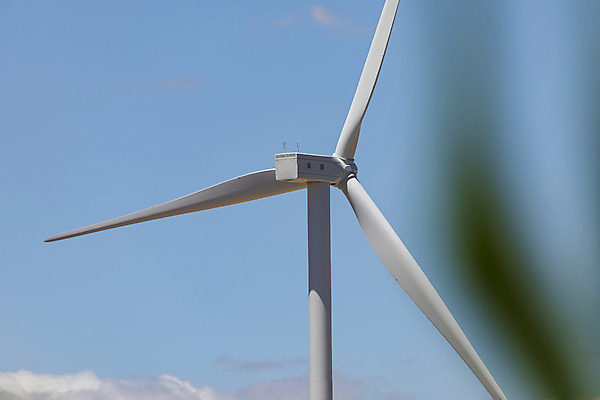 포토 JPG 해외이미지 식물 산업 밭 농업 채소 자연 하늘 바람 옥수수 사람없음 초록색 파란색 농작물 농장 환경 계곡 맑음 힘 재활용 풍차 발전기 에너지 수확 흰색 신선 스페인 밀 아라곤 자원 해외포토 자연요소 유럽 컬러 날씨 곡류 발전소 친환경 생태계 파일형식 이미지허브