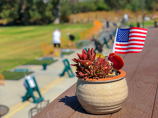 포토 JPG 해외이미지 식물 전통 꽃 스포츠 백그라운드 컨셉 잎 꽃무늬 밭 골프 공 자연 놀이 휴가 사람없음 야외 장식 빨간색 초록색 평화 미국 장비 자유 게임 흰색 축하 깃발 개화 닫기 성조기 국기 애국심 독립기념일 전국 해외포토 기념일 컬러 북아메리카 무늬 농업 모션 구기 생태계 독립 파일형식 이미지허브