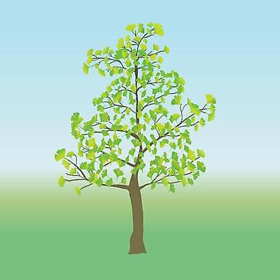 EPS 해외이미지 나무 식물 디자인 계절 백그라운드 잎 꽃무늬 패턴 일러스트 자연 추상 미술 장식 초록색 환경 봄 성장 흰색 나뭇가지 내추럴 고립 엘리먼트 해외일러스트 꽃 컬러 무늬 문화예술 생태계 파일형식 벡터 이미지허브