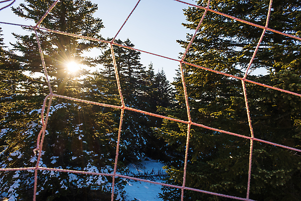 포토 JPG 해외이미지 나무 식물 계절 백그라운드 크리스마스 겨울 자연 하늘 날씨 휴가 산 사람없음 야외 가로 파란색 환경 냉동 고요 추위 나뭇가지 눈송이 떨어짐 숲 서리 전나무 칠면조 눈보라 내추럴 폭설 가문비나무 카피스페이스 해외포토 기념일 컬러 컨셉 조류 눈_날씨 공백 자연재해 생태계 파일형식 이미지허브