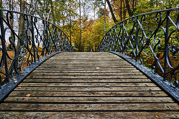 포토 JPG 해외이미지 나무 공원 유럽 길 낙엽 잎 사람없음 목재 장식 컬러풀 금속 산책 가을 보행자 널 폴란드 철책 해외포토 식물 계절 공공시설 나라 컬러 재료 재질 휴식 파일형식 이미지허브