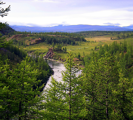 포토 JPG 해외이미지 나무 계절 야생동물 섬 여행 자연 날씨 파노라마 풍경 사람없음 야외 물 여름 강 계곡 맑음 절벽 하이킹 중앙 헬리콥터 정상 숲 북극 러시아 지형 안심 북쪽 멀리 내추럴 시베리아 해외포토 자연요소 식물 동물 유럽 레저 비행기 촬영기법 육류 극지방 방향 생태계 파일형식 이미지허브
