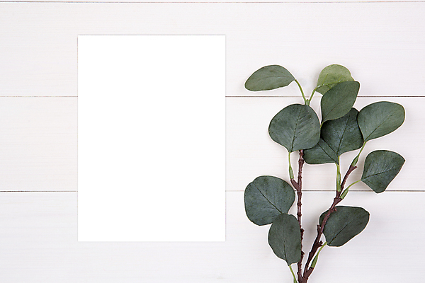 포토 JPG 해외이미지 종이 탁자 프레임 사람없음 책상 목업 해외포토 가구 파일형식 이미지허브