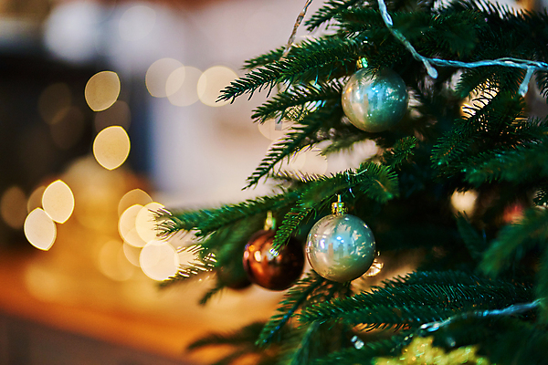 포토 JPG 해외이미지 나무 전통 디자인 계절 행복 백그라운드 크리스마스 겨울 공 휴가 불꽃 새로움 주택 기념 선물 사람없음 장식 빨간색 초록색 빛 장난감 축제 화환 장식볼 흰색 나뭇가지 축하 소나무 신용카드 황금 12월 연도 심볼 엽서 전나무 가문비나무 해외포토 식물 기념일 꽃 감정 컬러 컨셉 불 건물 금융 날짜 편지 파일형식 이미지허브