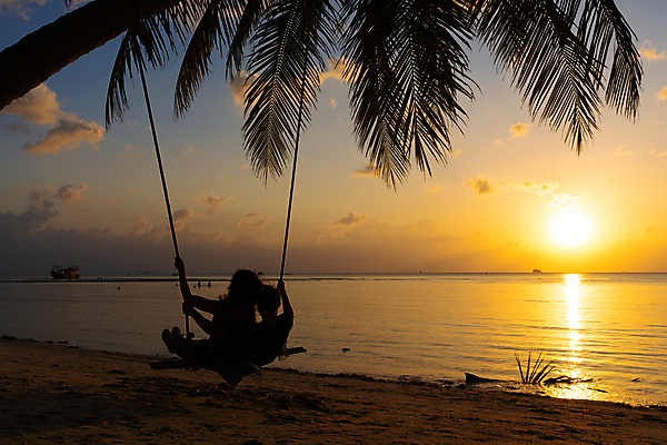 포토 JPG 해외이미지 커플 여자 남자 행복 실루엣 바다 여행 데이트 휴가 휴식 함께함 앉기 성인 야외 두명 야자수 일몰 그네 휴양지 그네타기 성인만 해외포토 나무 감정 컨셉 관계 모션 놀이 촬영기법 사람 노을 장소 파일형식 이미지허브