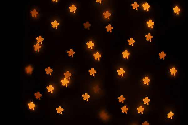 포토 JPG 해외이미지 디자인 별 백그라운드 전구 벽지 추상 조명 미술 사람없음 빛 반짝임 검은색 축제 어둠 점 화려 황금 클로버 야간 소프트포커스 디스코 보케 문학 마법 제비 광 블러 엘리먼트 많음 카피스페이스 유흥 효과 해외포토 자연요소 음악 컬러 컨셉 무늬 모션 조류 문화예술 촬영기법 공백 춤 파일형식 이미지허브