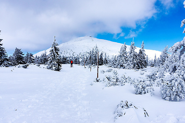 포토 JPG 해외이미지 공원 유럽 길 겨울 자연 하늘 휴가 산 파노라마 국립공원 사람없음 야외 파란색 추위 흰색 정상 서리 체코 거인 폴란드 내추럴 전국 절정 해외포토 계절 공공시설 나라 컬러 촬영기법 생태계 파일형식 이미지허브