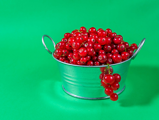 포토 JPG 해외이미지 식물 계절 열매 음식 줄기 백그라운드 농업 과일 건강 사람없음 빨간색 초록색 농작물 바구니 금속 정원 수확 나뭇가지 시골 신선 그룹 달콤 과수원 다발 양동이 가득함 에코 유기농 날것 흙더미 내추럴 건포도 고립 바이오 밭일 숙성 채식주의자 많음 카피스페이스 해외포토 나무 웰빙 산업 컬러 컨셉 재질 포도 환경 흙 공백 맛 채식 건과일 파일형식 더미 이미지허브