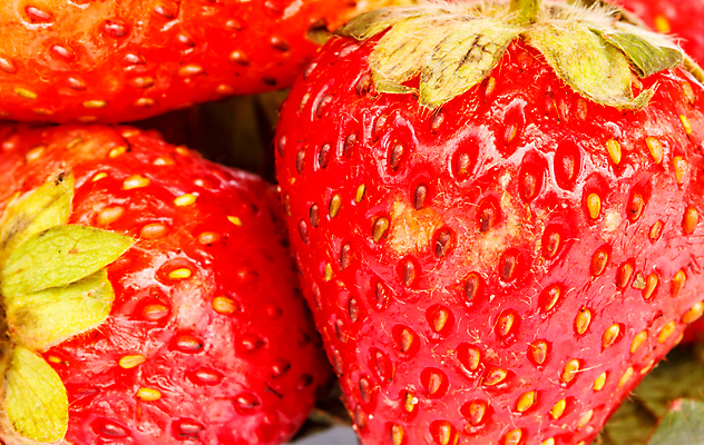 포토 JPG 해외이미지 열매 음식 백그라운드 잎 다이어트 과일 자연 벽지 딸기 디저트 프레임 건강 사람없음 빨간색 초록색 컬러풀 정원 주스 봄 수확 신선 달콤 맛 아침식사 먹기 유기농 질감 내추럴 고립 숙성 채식주의자 해외포토 식물 웰빙 계절 음료 컬러 컨셉 농업 모션 식사 생태계 채식 파일형식 이미지허브