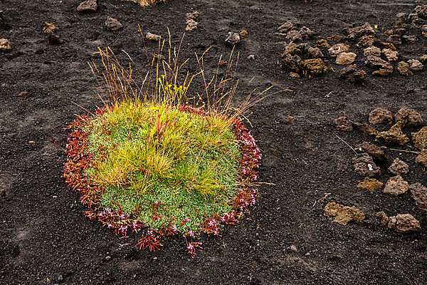 포토 JPG 해외이미지 공원 꽃 유럽 백그라운드 자연 산 사람없음 컬러풀 검은색 이탈리아 하이킹 흐름 정상 폭발 지중해 언덕 화산 장면 분화구 용암 내추럴 재 전국 절정 지질학 해외포토 식물 공공시설 교육 나라 바다 컬러 컨셉 레저 생태계 파일형식 이미지허브