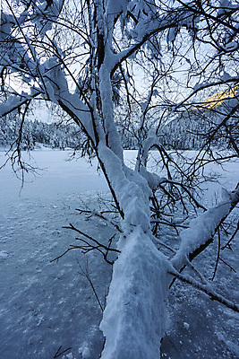 포토 JPG 해외이미지 나무 구름 계절 유럽 호수 여행 백그라운드 겨울 자연 하늘 산 주택 파노라마 풍경 사람없음 야외 물 파란색 컬러풀 냉동 얼음 어둠 이탈리아 꿈 하이킹 추위 달 흰색 야간 숲 오두막 알프스 대야 전나무 몽환 해외포토 자연요소 식물 나라 컬러 컨셉 레저 촬영기법 건물 생태계 파일형식 이미지허브