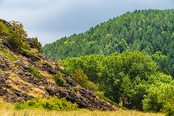 포토 JPG 해외이미지 공원 꽃 유럽 백그라운드 자연 하늘 산 파노라마 사람없음 검은색 이탈리아 하이킹 흐름 정상 폭발 지중해 언덕 화산 장면 분화구 용암 내추럴 재 전국 절정 지질학 해외포토 식물 공공시설 교육 나라 바다 컬러 컨셉 레저 촬영기법 생태계 파일형식 이미지허브