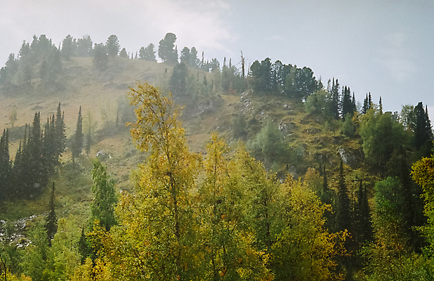 포토 JPG 해외이미지 나무 계절 여행 백그라운드 오렌지 자연 하늘 아침 산 파노라마 경사 사람없음 야외 파란색 컬러풀 햇빛 노란색 계곡 얼음 하이킹 신선 황금 정상 숲 산등성이 러시아 북쪽 발견 10월 내추럴 시베리아 절정 해외포토 주간 자연요소 식물 유럽 컬러 과일 레저 촬영기법 태양 날짜 방향 생태계 파일형식 이미지허브