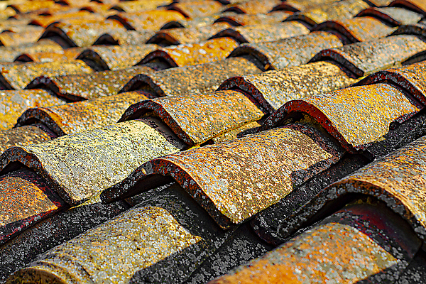 포토 JPG 해외이미지 전통 디자인 외관 백그라운드 패턴 오렌지 건축양식 지붕 추상 주택 사람없음 야외 건물 빨간색 갈색 수확 덮개 조약돌 도자기 닫기 보호 정상 옥상 타일 묘사 질감 점토 방수 옛날 줄서기 스타일 해외포토 건축물 건축 컬러 컨셉 무늬 농업 과일 모션 뚜껑 돌_바위 파일형식 이미지허브