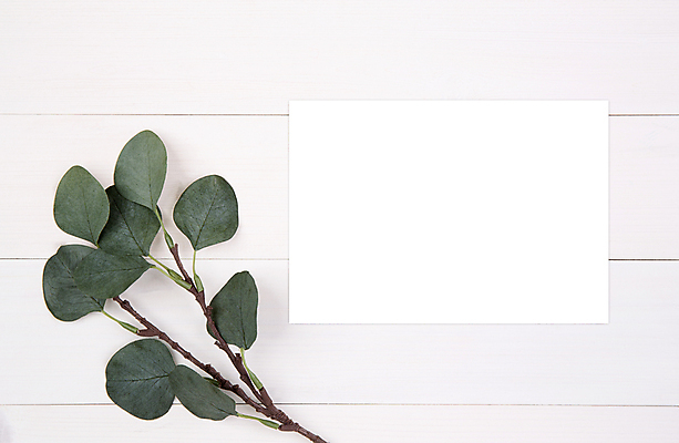 포토 JPG 해외이미지 종이 탁자 프레임 사람없음 책상 목업 해외포토 가구 파일형식 이미지허브