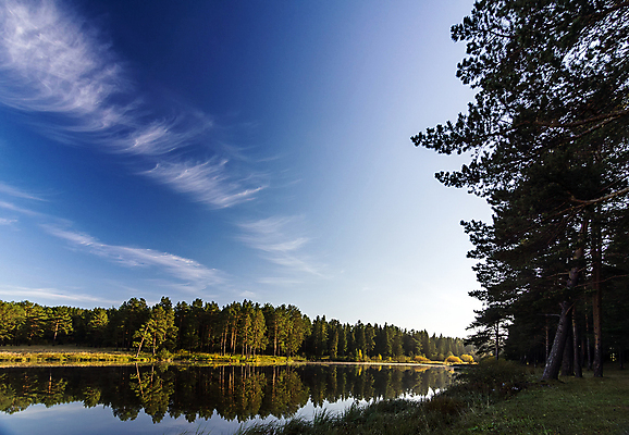 포토 JPG 해외이미지 나무 호수 여행 잎 캐나다 자연 하늘 산 안테나 파노라마 사람없음 야외 목재 초록색 물 파란색 컬러풀 햇빛 뷰티 맑음 캠핑 시골 소나무 숲 고도 침엽수 스카이라인 드론 스칸디나비아 수평선 카피스페이스 해외포토 자연요소 식물 컬러 북아메리카 재료 통신 레저 날씨 촬영기법 태양 공백 생태계 파일형식 이미지허브