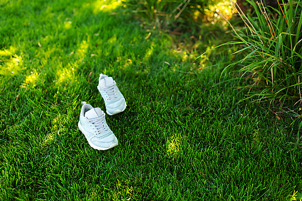 포토 JPG 해외이미지 라이프스타일 공원 여자 스포츠 백그라운드 신발 컨셉 밭 자연 휴식 새로움 건강 사람 잔디 사람없음 야외 10대 초록색 달리기 유행 걷기 정원 봄 자유 수확 흰색 쌍 스니커즈 고무 내추럴 양발 운동화끈 스타일 해외포토 식물 계절 공공시설 컬러 운동화 농업 모션 청소년 생활 끈 생태계 파일형식 이미지허브