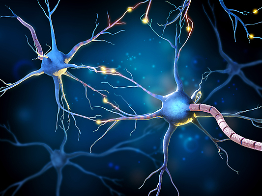 포토 JPG 해외이미지 교육 과학 생각 신체 일러스트 해부 생물 세포 건강 사람 사람없음 빛 약 머리 3D 에너지 마음 네트워크 감각 맥박 연결 불안 뇌 생물학 신호 만들기 시스템 광 해외일러스트 감정 의학 모션 신체부위 디지털합성 파일형식 이미지허브