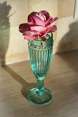 포토 JPG 해외이미지 꽃잎 꽃 분홍색 꽃다발 결혼 백그라운드 꽃무늬 자연 디저트 기념 사랑 사람없음 장식 장미 케이크 축제 수확 벚꽃 축하 우아함 달콤 설탕 식용 작약 파스텔톤 핸드메이드 해외포토 식물 감정 음식 컬러 컨셉 무늬 농업 이벤트 맛 생태계 파일형식 이미지허브