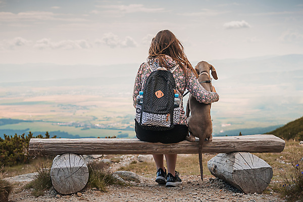포토 JPG 해외이미지 나무 공원 여자 벤치 산 한명 사람 앉기 성인 야외 반려동물 하이킹 가리킴 개 옛날 하이커 성인여자한명만 해외포토 식물 동물 1 공공시설 여행 의자 포유류 모션 레저 손짓 여자한명만 성인여자만 파일형식 이미지허브