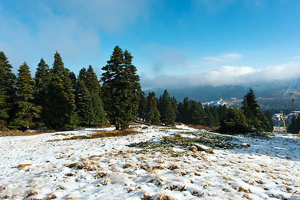 포토 JPG 해외이미지 식물 계절 공원 여행 백그라운드 크리스마스 겨울 자연 하늘 날씨 휴가 산 풍경 사람없음 야외 초록색 여름 파란색 뷰티 환경 냉동 고요 눈송이 떨어짐 숲 서리 전나무 눈보라 내추럴 삼림지대 카피스페이스 해외포토 나무 공공시설 기념일 컬러 컨셉 눈_날씨 공백 생태계 파일형식 이미지허브