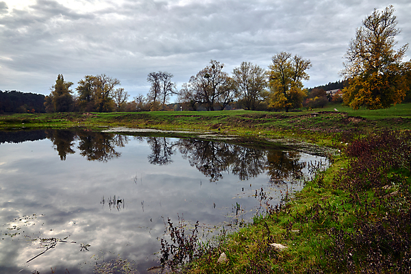 포토 JPG 해외이미지 나무 식물 구름 계절 유럽 낙엽 잎 자연 하늘 숙이기 풍경 사람없음 물 강 컬러풀 가을 숲 폴란드 해외포토 자연요소 나라 컬러 포즈 생태계 파일형식 이미지허브