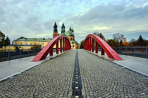 포토 JPG 해외이미지 나무 유럽 종교 벽 십자가 건축양식 하늘 지붕 벽돌 거리 사람없음 건물 성당 교회 탑 바위 도시 보행로 종탑 폴란드 고딕 철강 해외포토 식물 건축물 건축 나라 길 종교건축 돌_바위 파일형식 이미지허브
