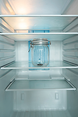 포토 JPG 해외이미지 동물 음식 곤충 백그라운드 신체 날개 자연 유리 생물 주택 안테나 건강 사람없음 갈색 머리 주방 검은색 흰색 죽음 도시 항아리 닫기 해충 벌레 질병 오브젝트 먼지 냉장고 리빙 기어가기 농약 위생관리 제어 해로움 오싹 해외포토 컬러 컨셉 통신 의학 모션 재질 관리 건물 신체부위 가전제품 도자기 생태계 파일형식 이미지허브