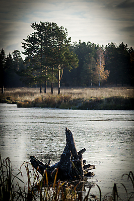 포토 JPG 해외이미지 나무 계절 공원 호수 백그라운드 잎 캐나다 자연 산 사람없음 야외 물 파란색 반짝임 컬러풀 햇빛 태양 뷰티 반사 노란색 침묵 일몰 폭포 흐름 시골 가장자리 숲 즐거움 설정 10월 내추럴 넘어짐 엘리먼트 해외포토 자연요소 식물 공공시설 감정 컬러 컨셉 북아메리카 모션 노을 소리 날짜 둘레 생태계 파일형식 이미지허브