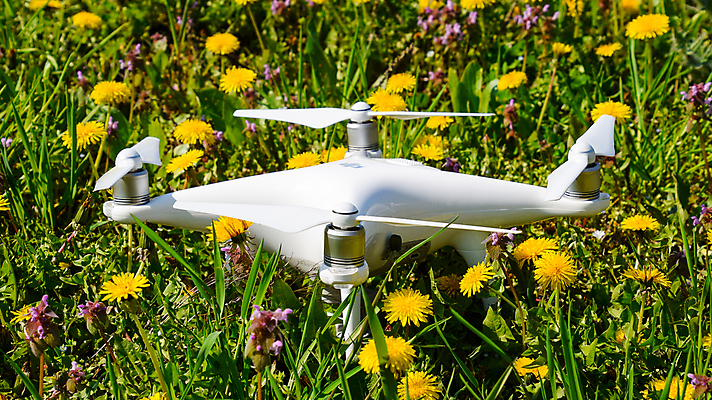 포토 JPG 해외이미지 식물 사람없음 정원 봄 민들레 로봇 프로펠러 화단 드론 해외포토 계절 꽃 파일형식 이미지허브