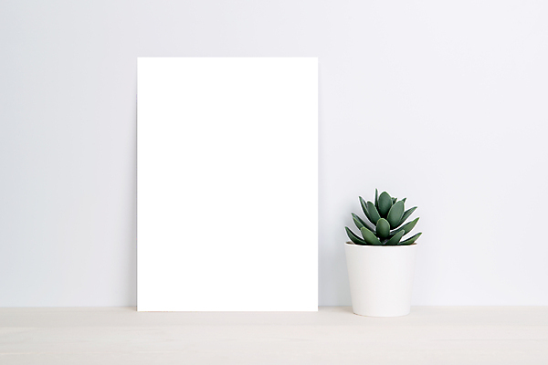 포토 JPG 해외이미지 화분 종이 탁자 프레임 사람없음 책상 목업 해외포토 가구 파일형식 이미지허브