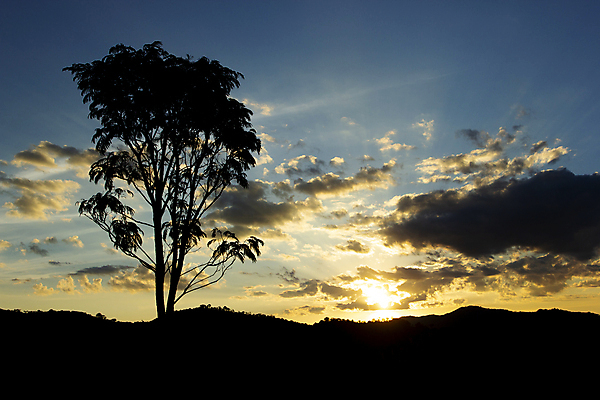 포토 JPG 해외이미지 나무 구름 실루엣 여행 잎 오렌지 자연 하늘 산 풍경 사람없음 야외 목재 파란색 컬러풀 뷰티 환경 황혼 일몰 저녁 숲 열대우림 브라질 내추럴 수평선 해외포토 자연요소 식물 컬러 과일 재료 촬영기법 노을 남아메리카 야간 생태계 파일형식 이미지허브