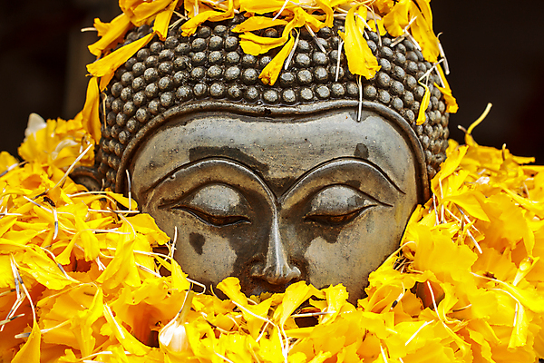 포토 JPG 해외이미지 전통 아시아 종교 문화 얼굴 조각 불교 태국 미술 동양인 사람없음 장식 조각상 교회 평화 침묵 골동품 가운 사찰 황금 장면 신성 동쪽 사프란 숭배 스타일 해외포토 옷 나라 컨셉 종교건축 문화예술 인종 건물 신체부위 조형물 소리 방향 향신료 파일형식 이미지허브