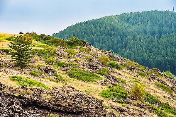 포토 JPG 해외이미지 공원 꽃 유럽 백그라운드 자연 하늘 산 파노라마 사람없음 검은색 이탈리아 하이킹 흐름 정상 폭발 지중해 언덕 화산 장면 분화구 용암 내추럴 재 전국 절정 지질학 해외포토 식물 공공시설 교육 나라 바다 컬러 컨셉 레저 촬영기법 생태계 파일형식 이미지허브