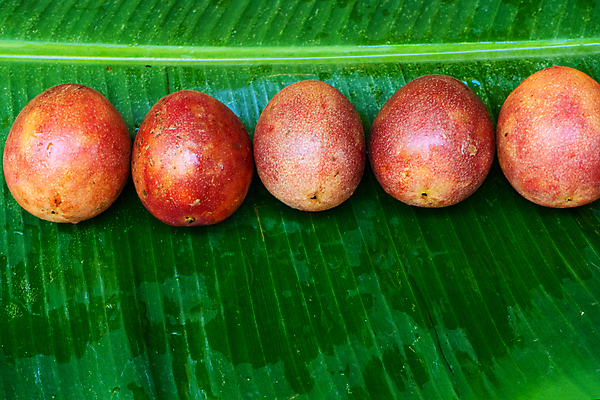 포토 JPG 해외이미지 열매 음식 조각 백그라운드 잎 다이어트 과일 부분 디저트 바나나 건강 씨앗 사람없음 빨간색 초록색 보라색 주스 흰색 신선 그룹 달콤 맛 자르기 오브젝트 유기농 날것 슬라이스 열정 내추럴 고립 숙성 이국적 해외포토 식물 웰빙 감정 음료 컬러 컨셉 모션 파일형식 이미지허브